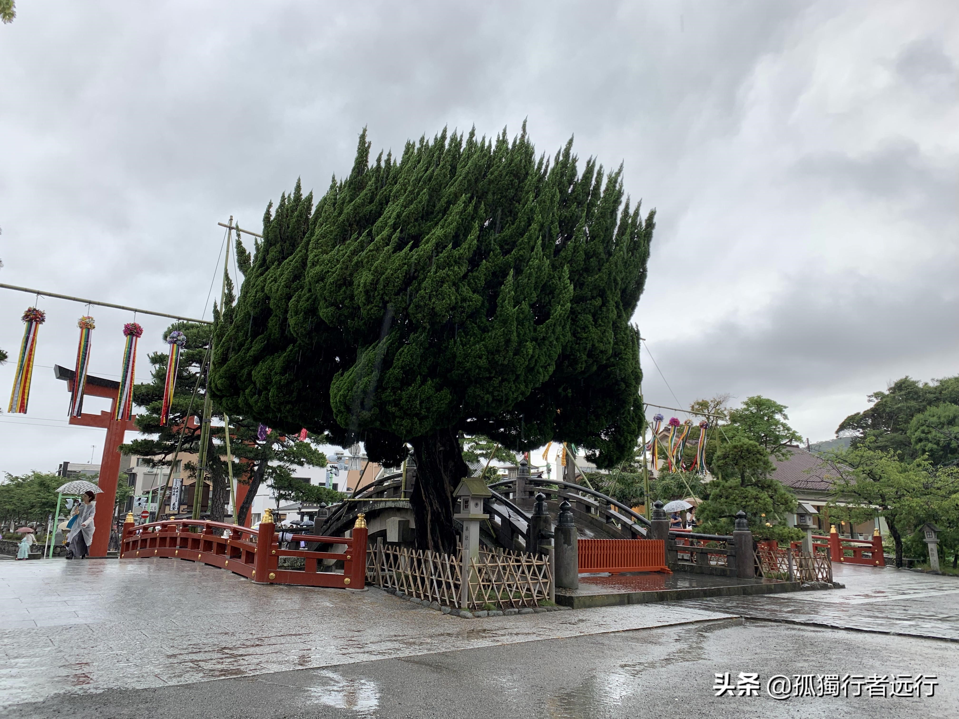 灌篮高手镰仓打卡攻略,镰仓高校前站和镰仓大佛