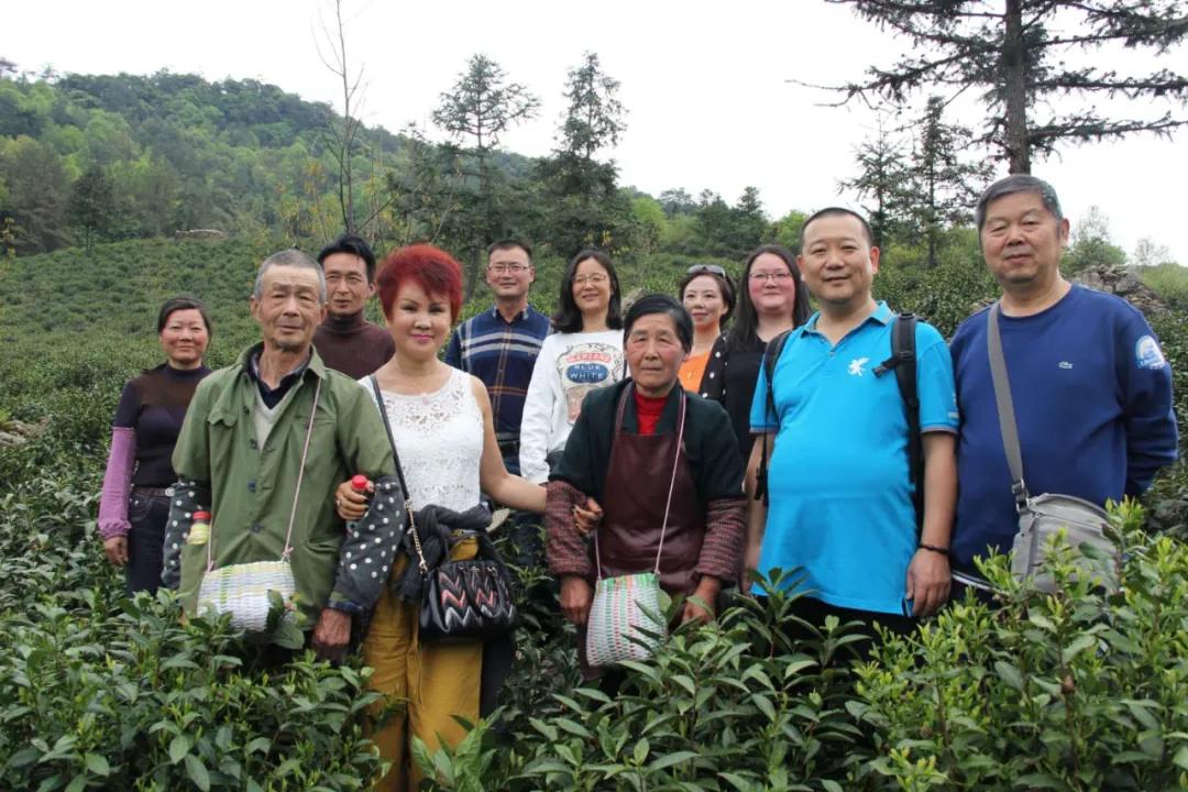 楂樺北鑼跺彾鍔╁姏鑴辫传瑙嗛,楂樺北鑼跺彾鍔╁姏鑴辫传