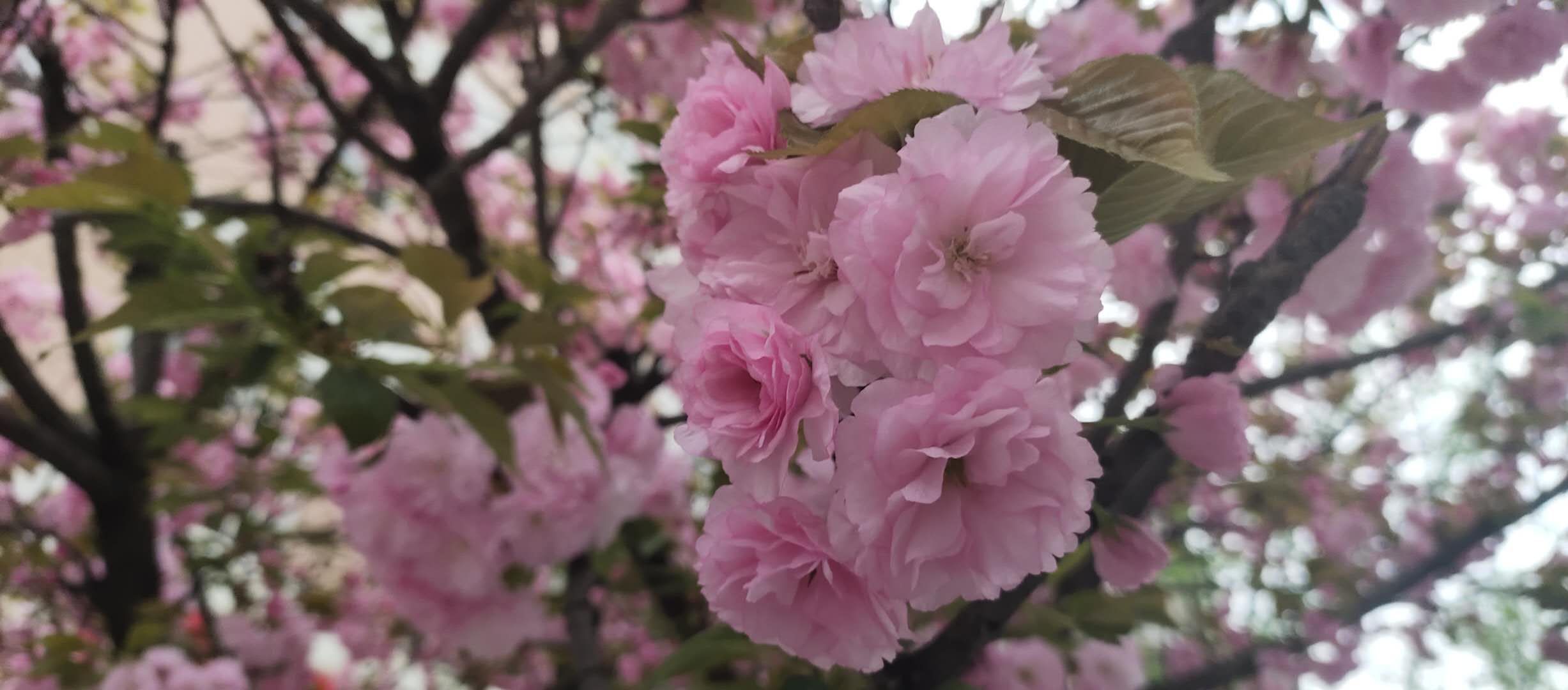 坐月子不是养身体而是废身体,有没有感觉坐月子像坐牢一样