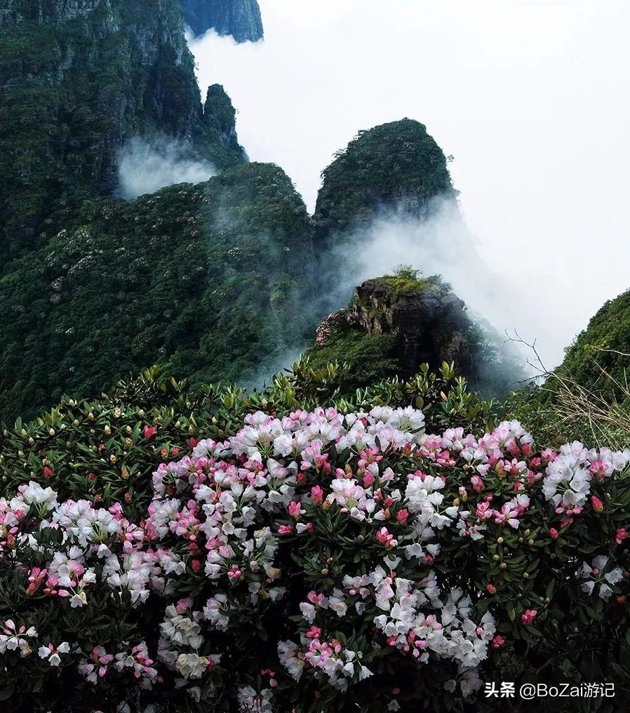 广西来宾旅游景点推荐,来宾象州旅游景点推荐