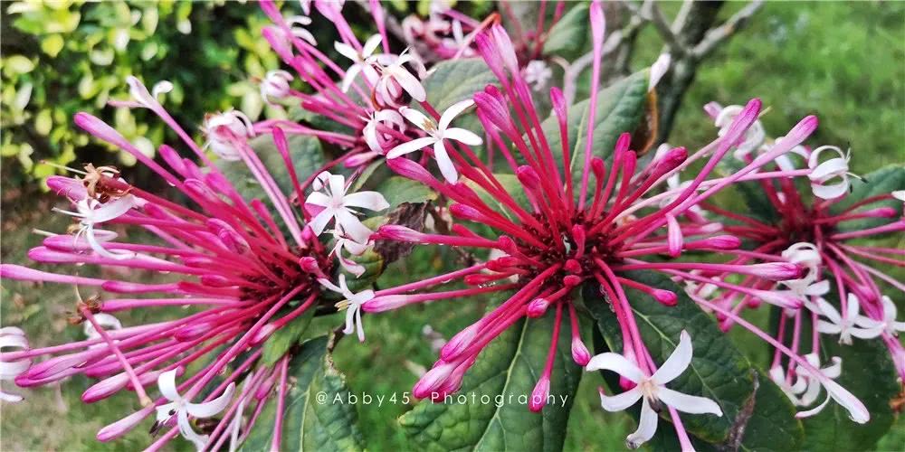 厦门海景最棒的酒店,厦门岛内100多的酒店