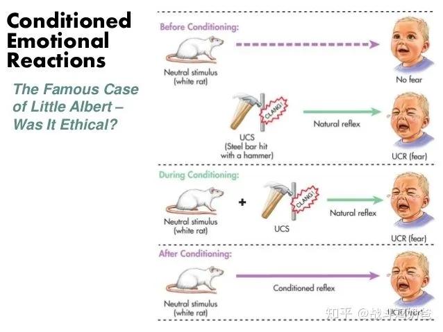 害怕小动物怎么解决,小孩害怕各种动物怎么回事