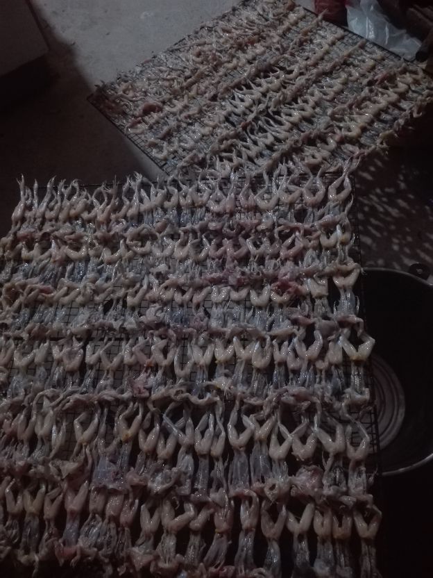 养殖青蛙赚钱吗成本和利润是多少,青蛙怎么养殖才能赚钱呢