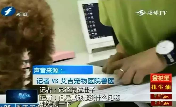 鍝瀹犵墿鍖婚櫌姝h涓嶄贡鏀惰垂,鏇濆厜瀹犵墿琛屼笟榛戝箷