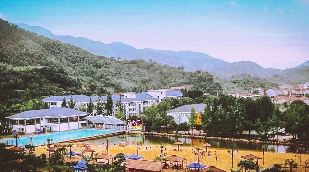 砥砺前行感恩有你,2019感恩有你2020一路同行共创佳绩