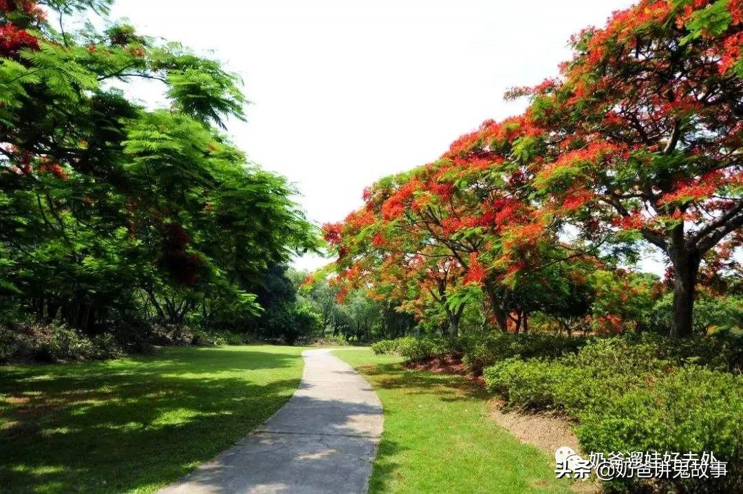 面朝大海春暖花开旅游景点,面朝大海春暖花开游玩