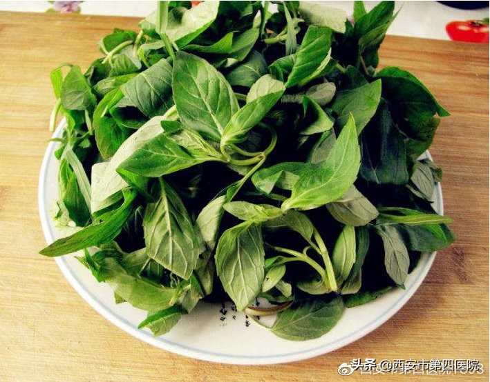 薄荷好处多又多夏日需常备,夏天薄荷的妙用以及它的神奇之处