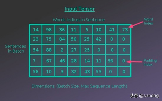 神经网络翻译编码和解码,解码器编码器