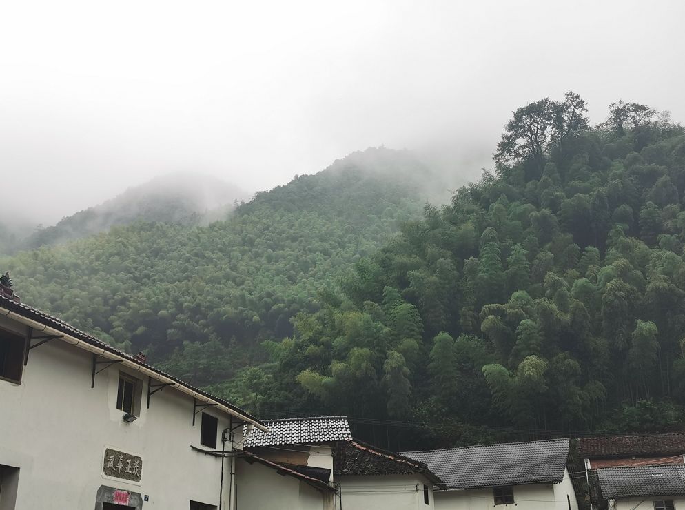 一场烟雨,把人困进仙境!藏在金华南山的这个小村,不求爆红,只求安静邂逅!