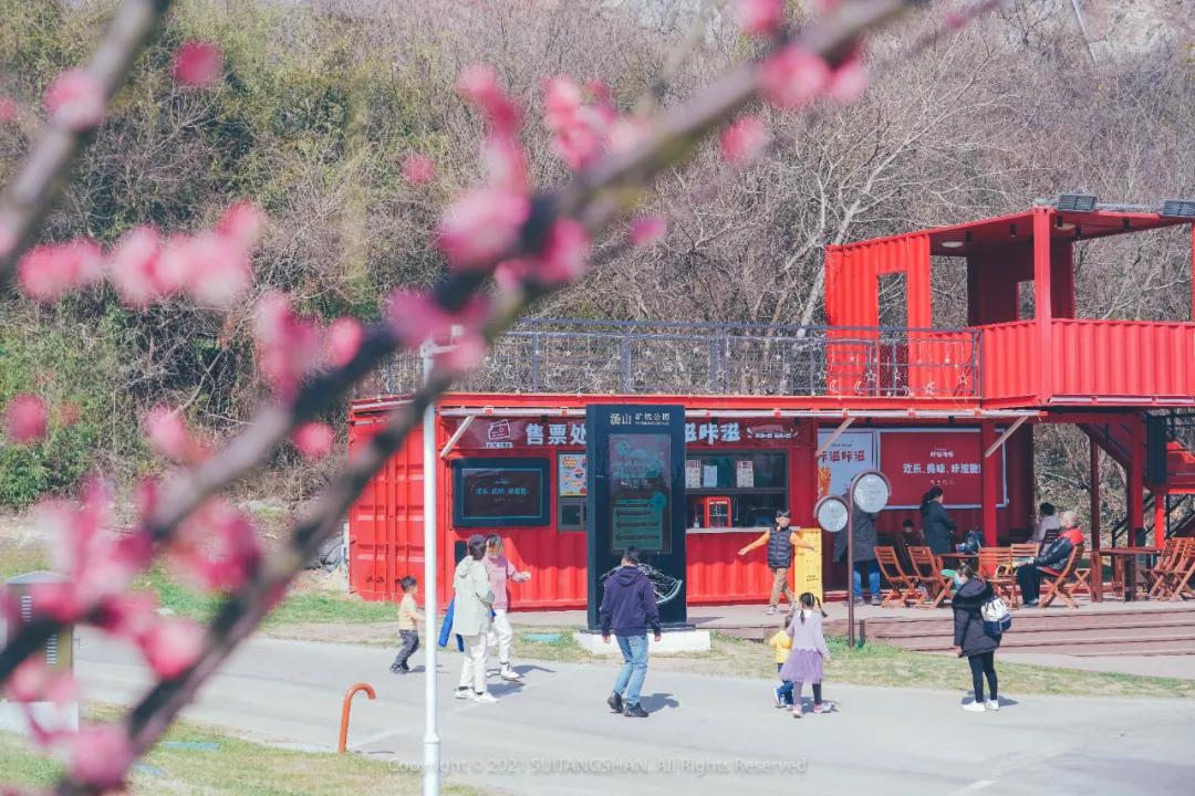 南京赏梅花的绝佳位置,南京赏梅花的最佳地方