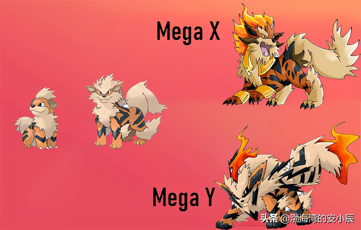 宝可梦xy暴飞龙可以mega吗,宝可梦xy甲贺忍蛙怎么mega进化