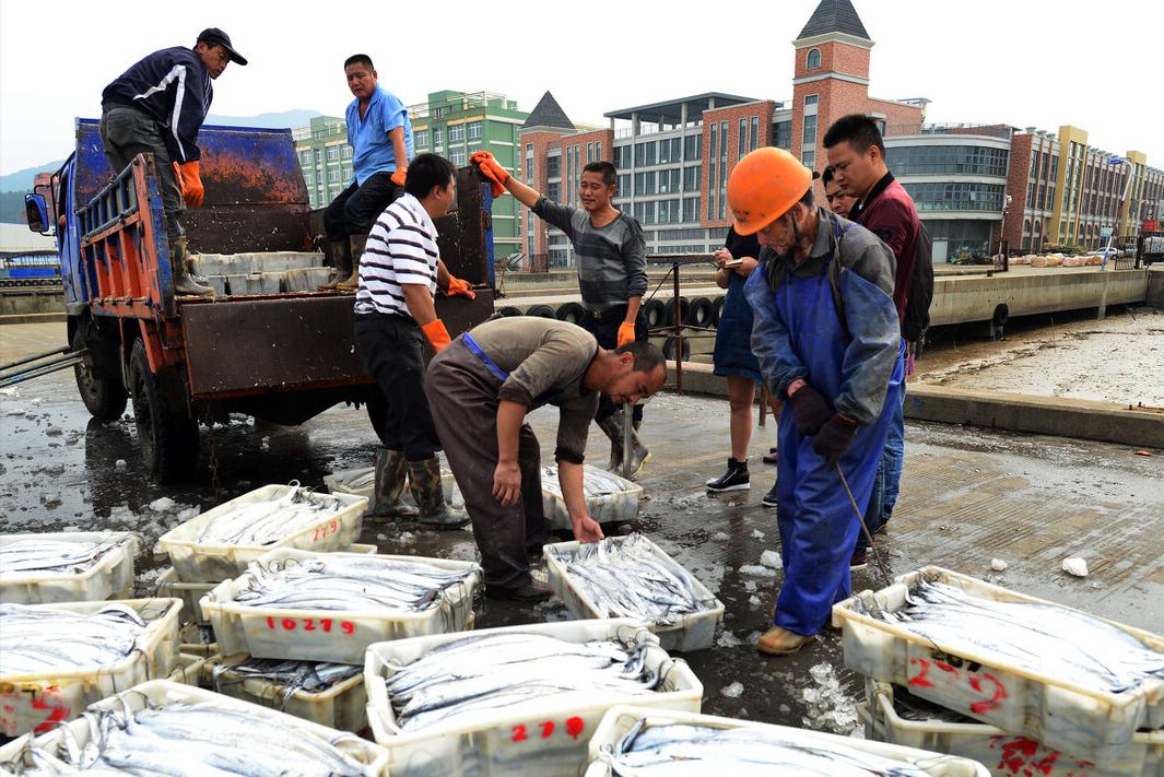 买带鱼是白霜多的好还是少的好,郑州海鲜市场带鱼怎么分辨好坏
