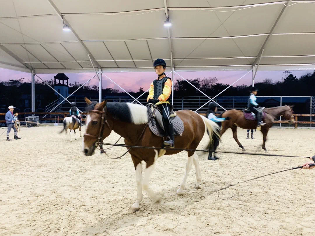 句容碧桂园小学,句容碧桂园学校国内班好吗