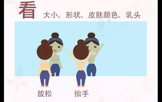 乳房结节自我检查方法,如何对乳房进行检查触诊