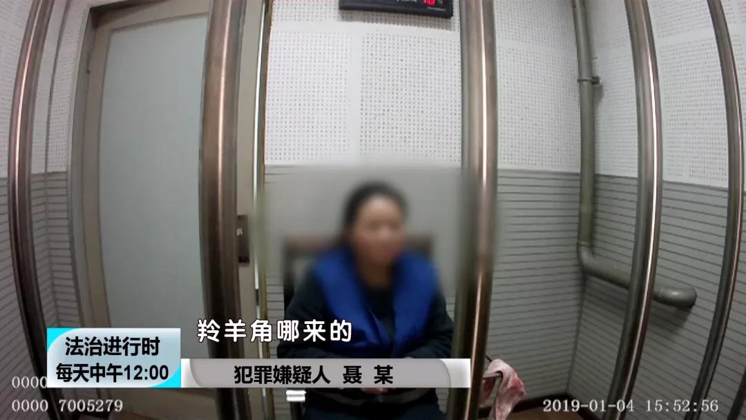 【BTV-我是检察官】认罪认罚背后的故事④：犯罪团伙*私走**高鼻羚羊角303根，价值606万元