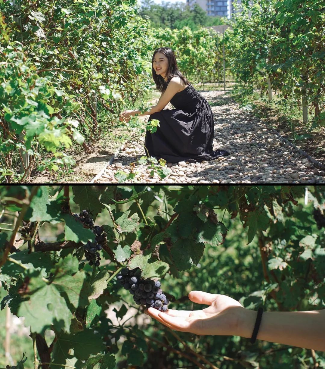 最近两个月被问得最多的衣服鞋子耳环