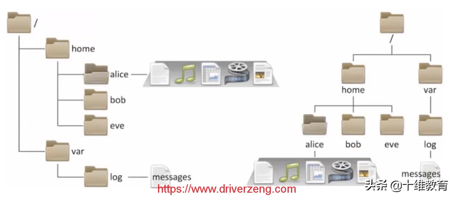 Linux系统入门：文件管理