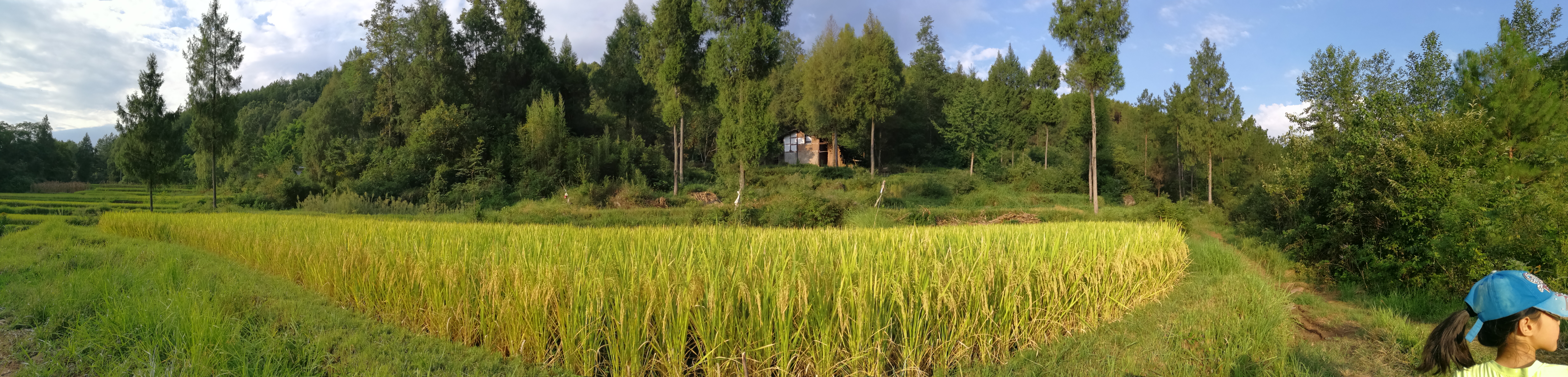 为什么人人都喜欢说教,为什么说教育就是这么一回事