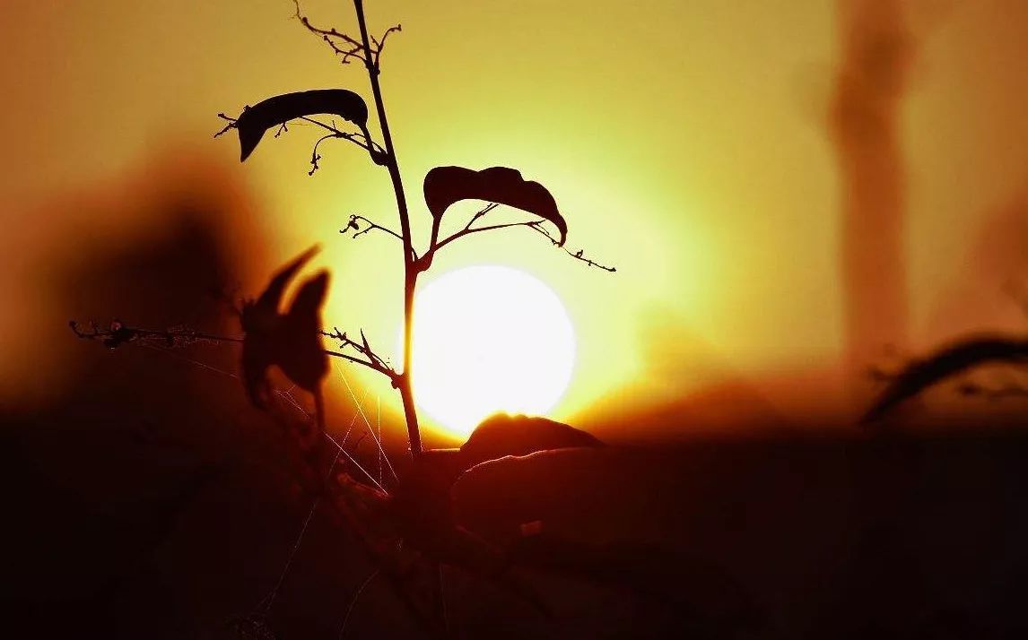 人生必看的几本书提升自我,让人生从此豁然开朗的十本书