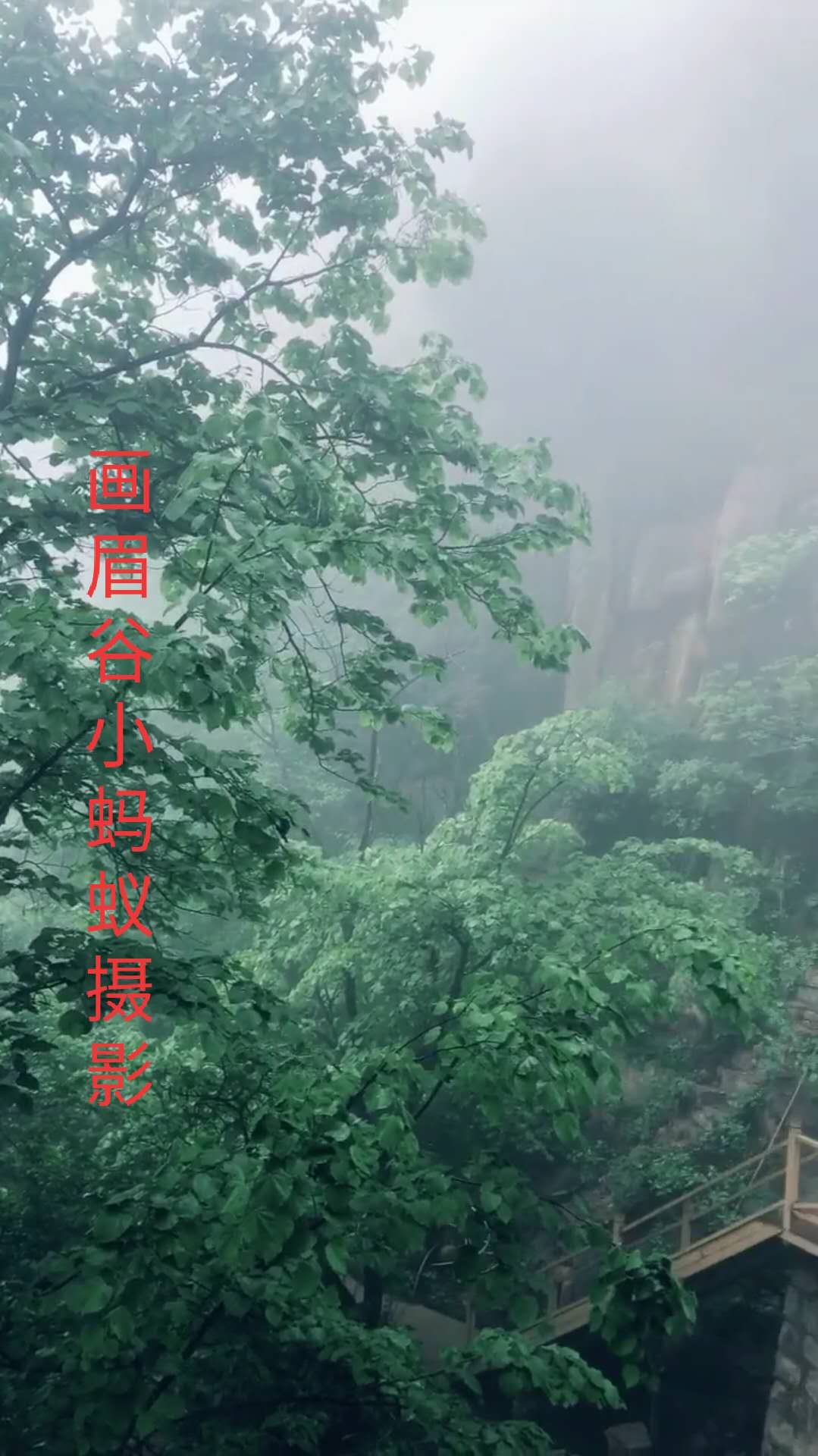 鲁山画眉谷郏县旅游景点推荐,平顶山鲁山风景区旅游攻略