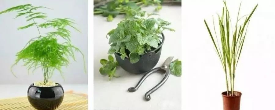 3岁孩子误食了药物属于意外吗,小孩误食绿植肥料怎么办