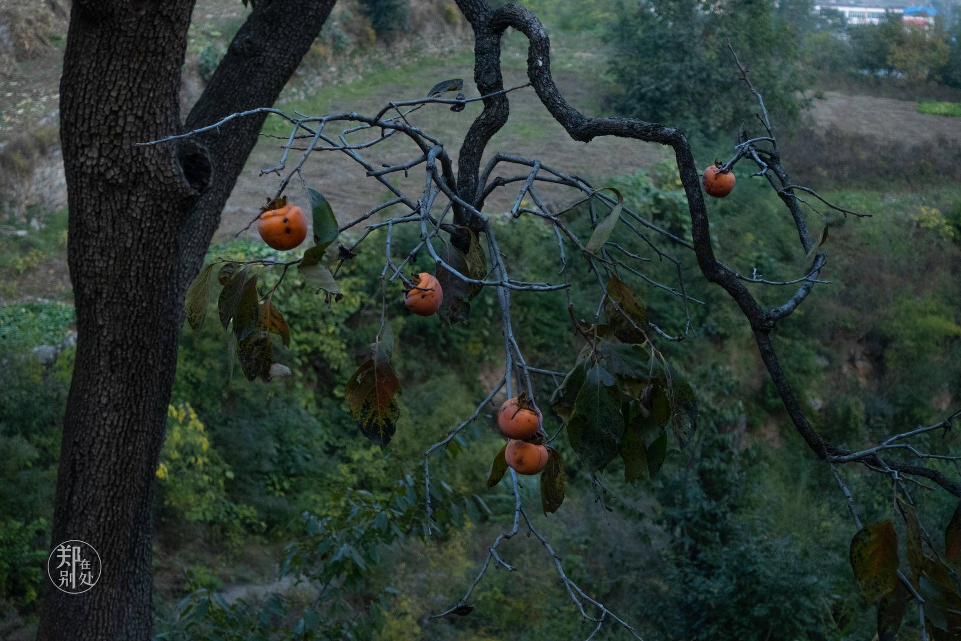 山西太行山攻略,山西太行山古村落自驾游