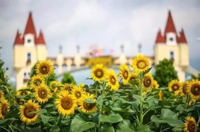 河源巴伐利亚途家度假酒店,河源巴伐利亚途家酒店