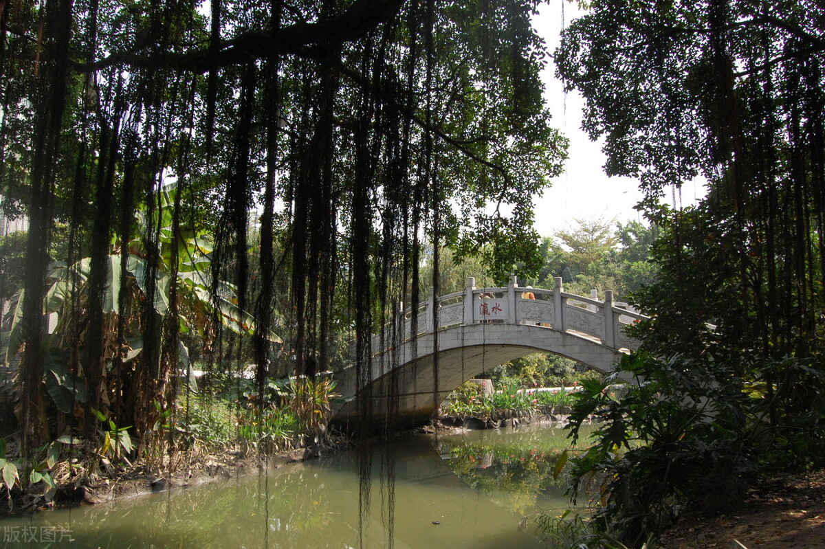广州适合旅游的村落小镇,广州五一去哪玩古村