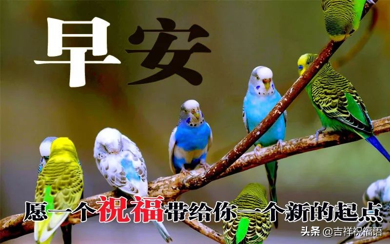 早晨问候语早上好微信短语,清晨最新早上好问候祝福语句