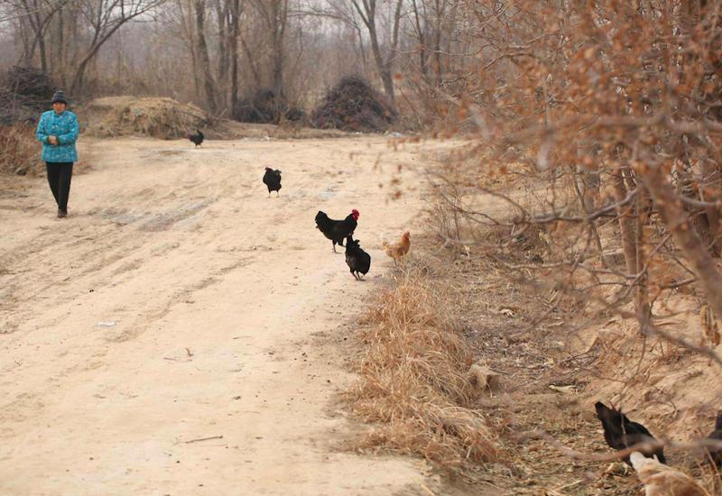 农村冬至习俗大全,数九寒冬的风俗