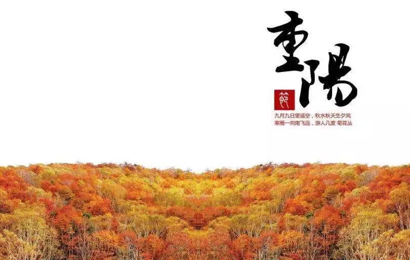 九九重阳节又见重阳,九九重阳节新的一天开始