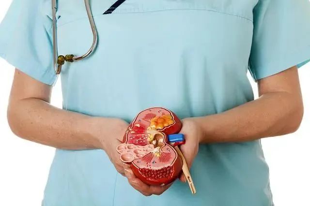 结石要注意哪些饮食,输尿管结石病人的饮食有禁忌