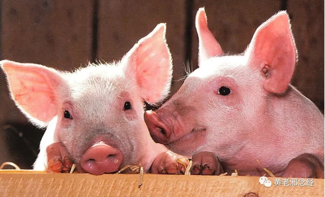 中国手上美元外汇这么多会贬值吗,美元贬值对外汇影响