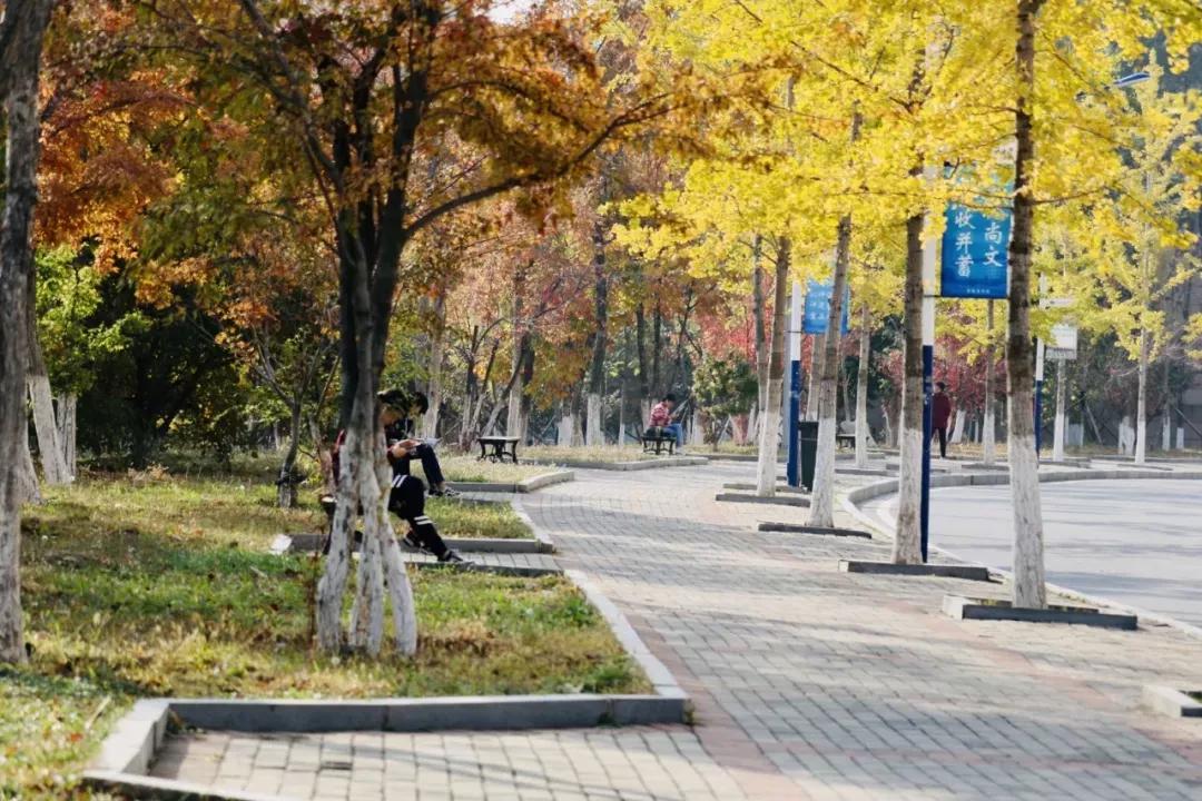 辽宁省高校(三十二)大连外国语大学