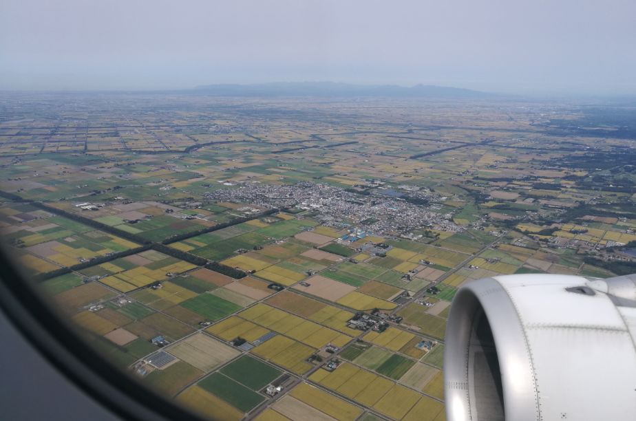 日本旅行你想省几百元,他却省了几千元,只因你忽略了帕累托改进