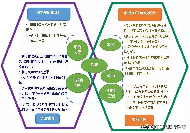 北海游玩观鲸,广西观鲸