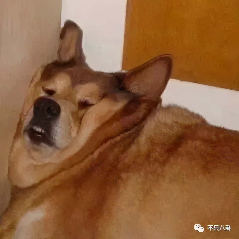 咸素媛与陈华离婚,咸素媛陈华离婚了没有