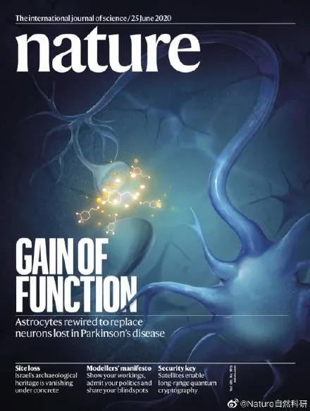 杨辉付向东事件影响,杨辉回应学术抄袭造假