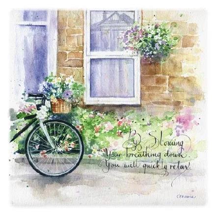 实用健康知识,健康知识老年人养生的十五点建议