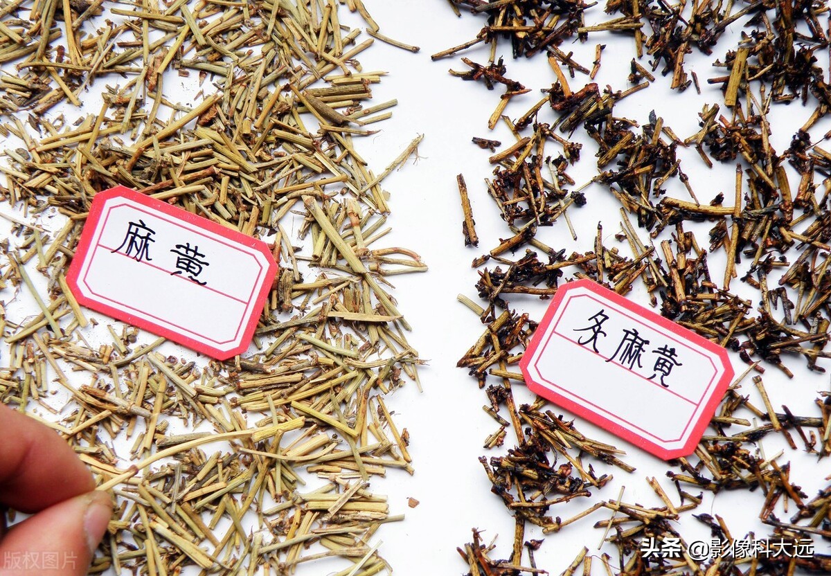 感冒的偏方与中成药,食疗治感冒的最好办法