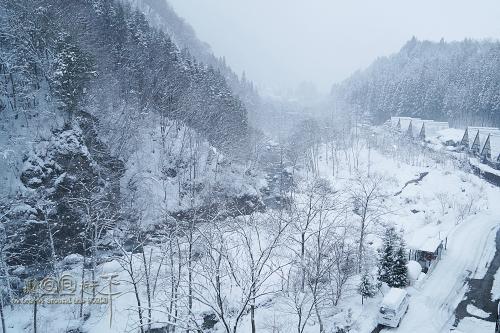 储劲松作品,岳西籍作家储劲松