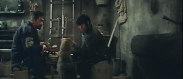 *播禁**26年，演员被捕，这部国产*片禁**终于被找到