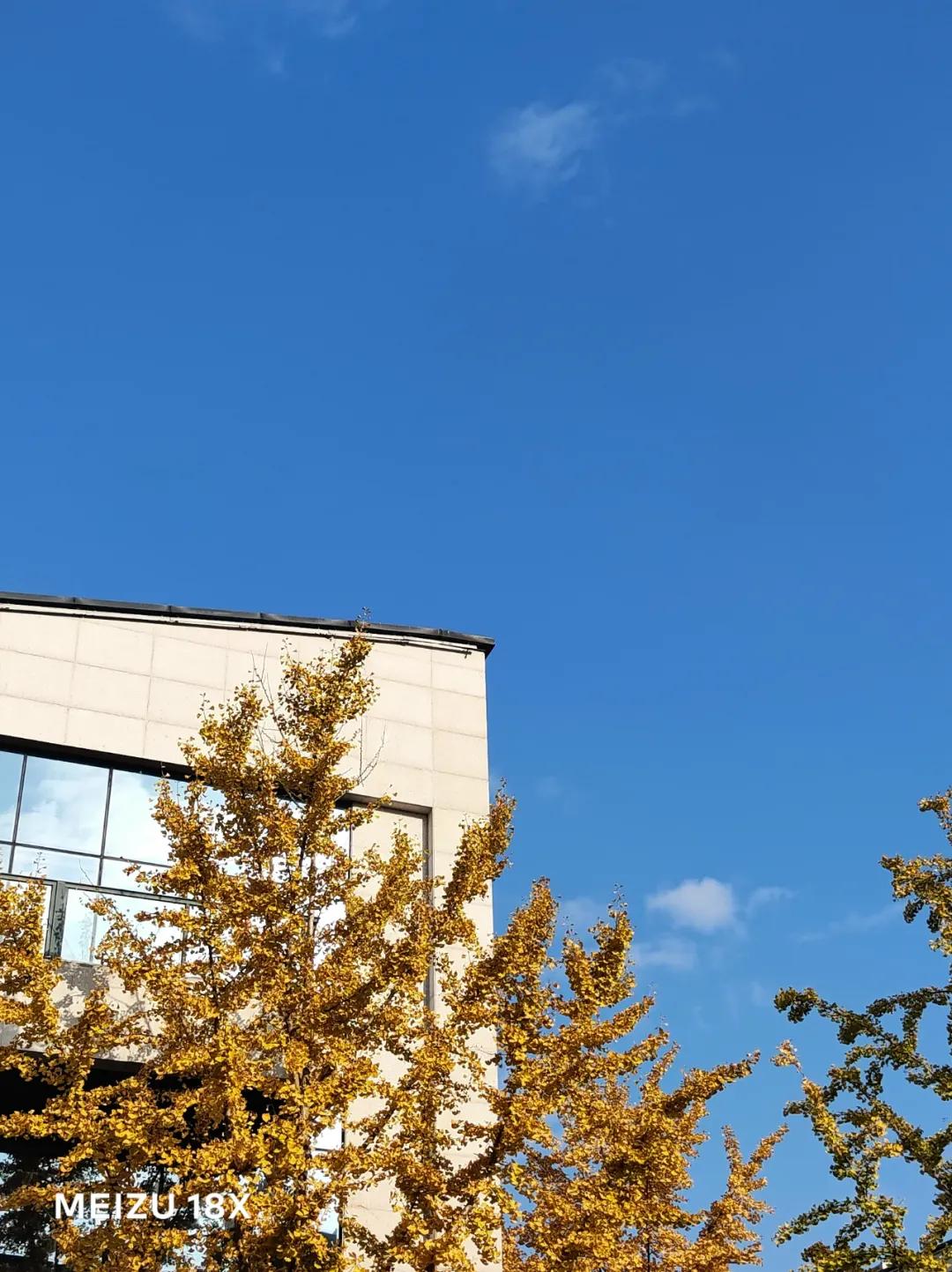 魅族18x禅白版价格,魅族18x禅白版音乐