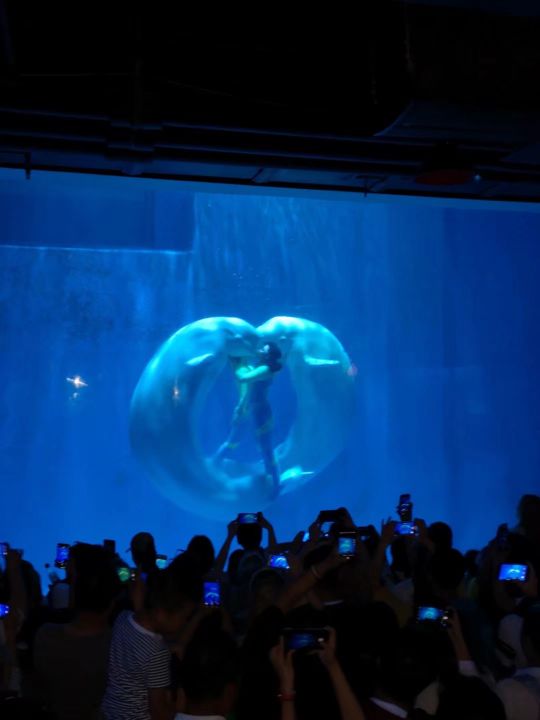 哈尔滨海拉尔呼伦贝尔旅游游记,哈尔滨漠河满洲里旅游攻略