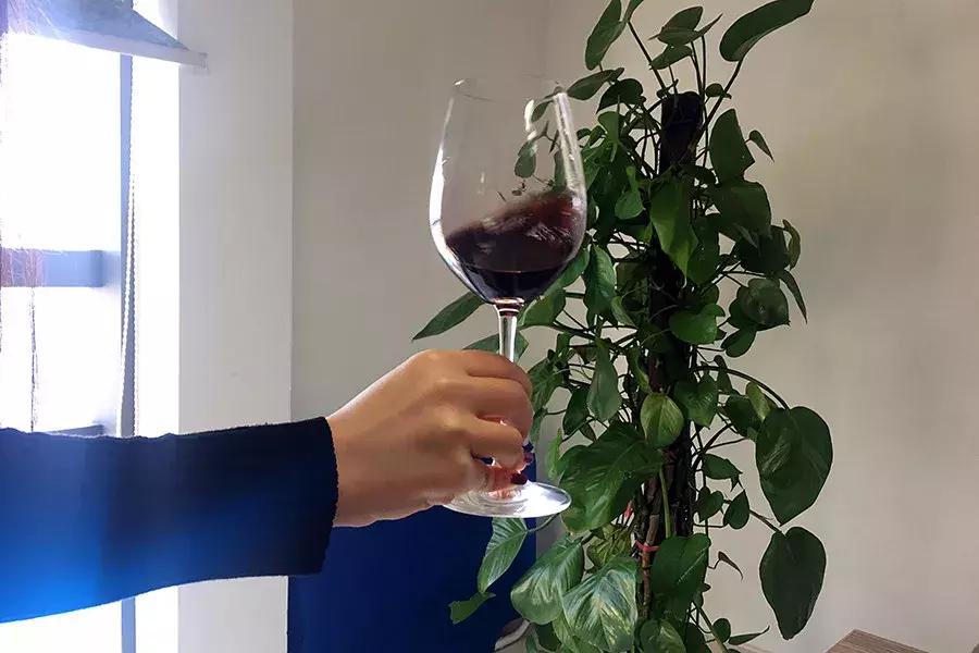 葡萄酒最好喝的做法没酒味,葡萄酒的100种玩法