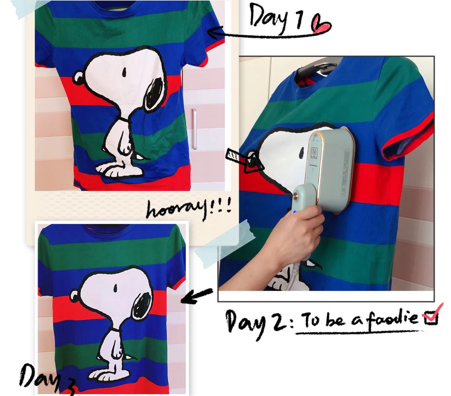 大宇手持挂烫机家用小型蒸汽熨斗,韩国大宇手持挂烫机