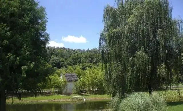 走进十大名山之天目山,松江这五座山你攀登过几处