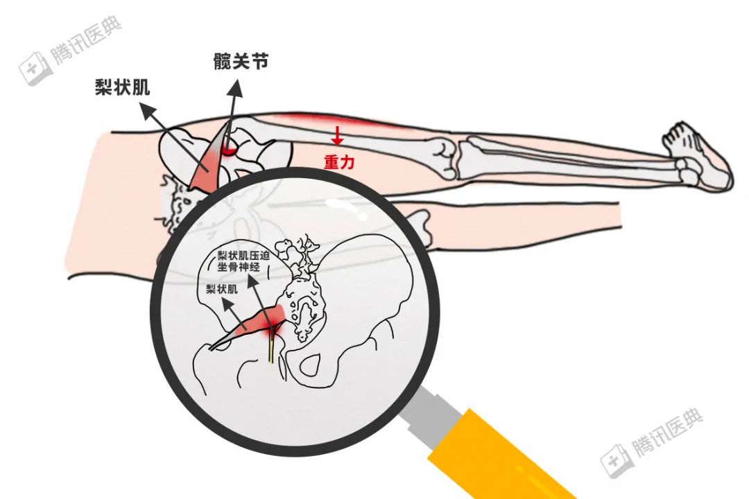 “看到了这三个好处，睡觉喜欢夹着东西的人就偷着乐吧”