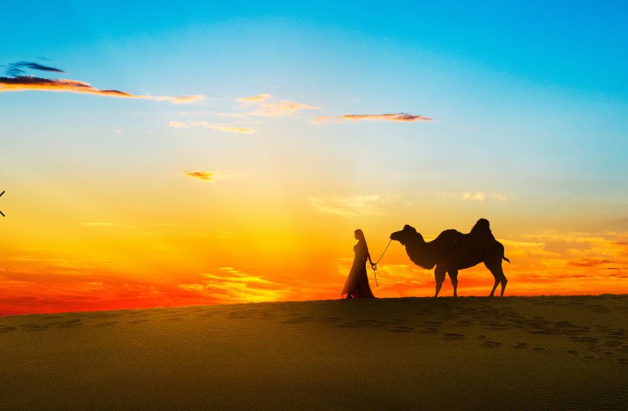 俞敏洪高估自己,俞敏洪凝视深渊