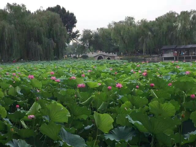 离职也许是彻底失望才会选择,对工作心寒失望想离职